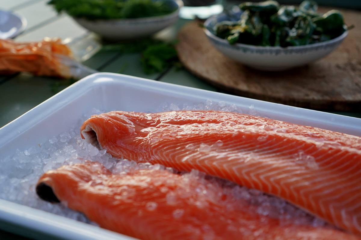 Fresh salmon fillets on ice, ready for live cooking at an event in Zürich