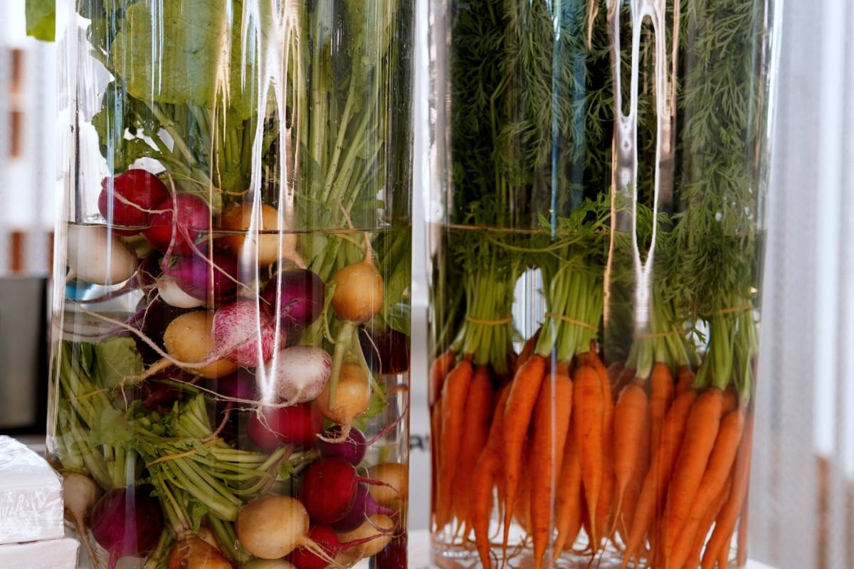 Radishes and carrots with their tops in glass vases: regional vegetables for sustainable catering in Zürich